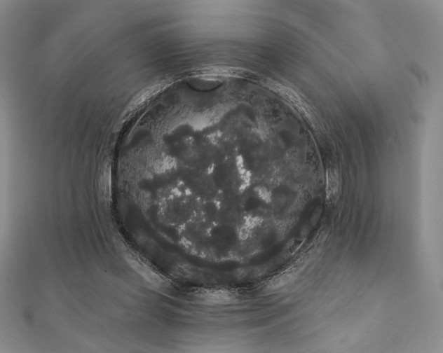 X0000112000349200908031233