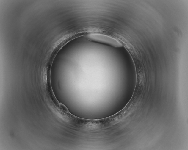 X0000112000350200908031233