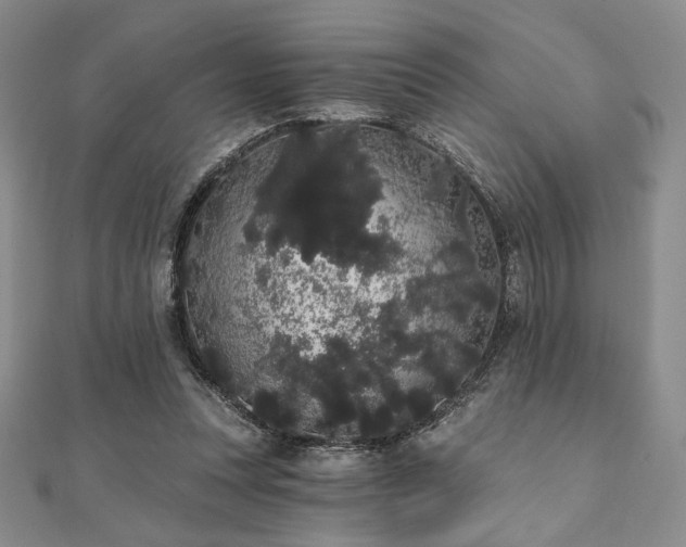 X0000112000351200908031233