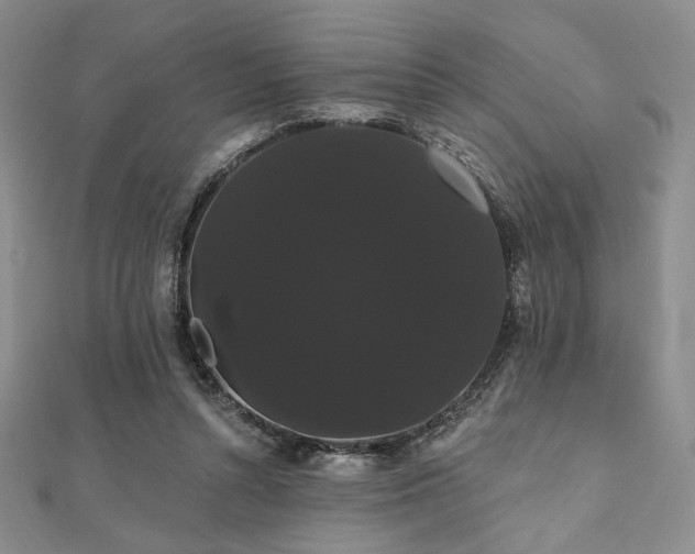 X0000112000352200908031233