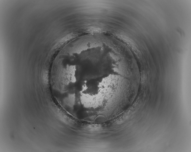 X0000112000353200908031233