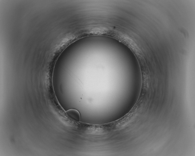 X0000112000354200908031233