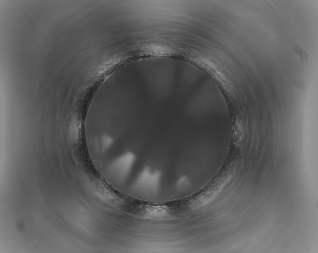 X0000112000355200908031233