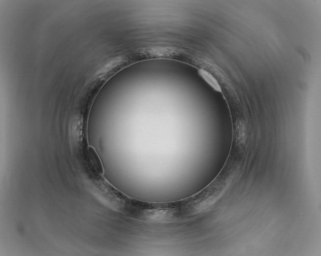 X0000112000356200908031233