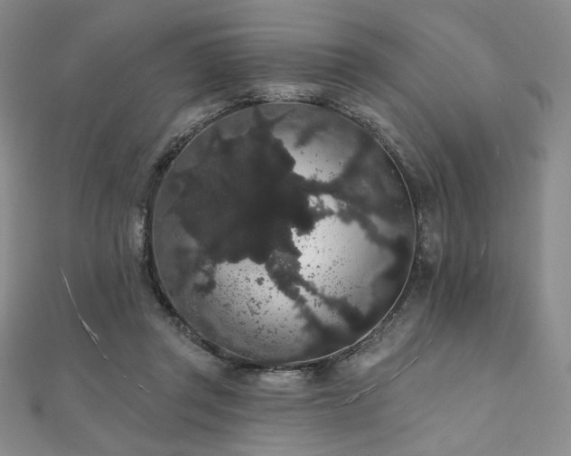 X0000112000357200908031233