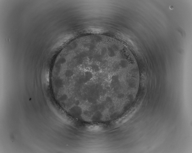 X0000112000358200908031233