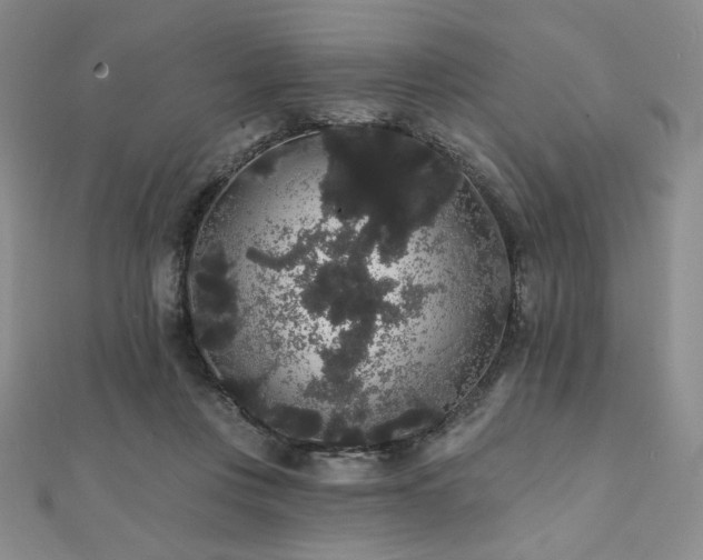 X0000112000359200908031233