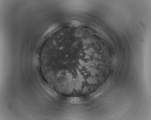 X0000112000361200908031233