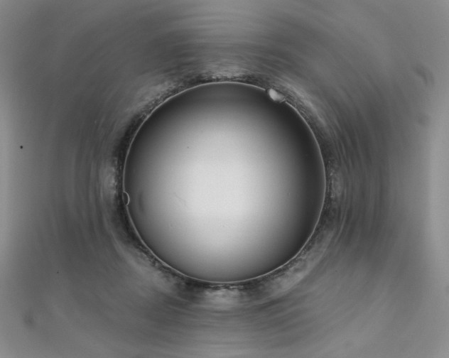 X0000112000362200908031233