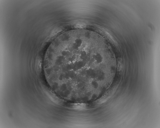 X0000112000363200908031233