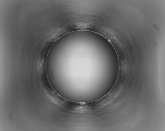 X0000112000364200908031233