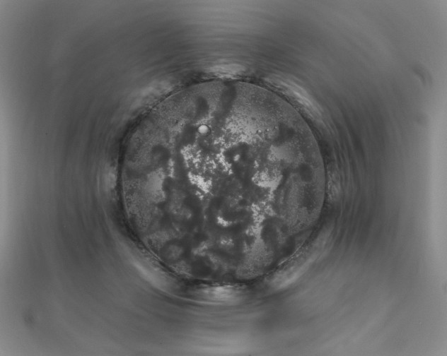 X0000112000365200908031233