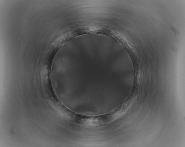 X0000112000366200908031233