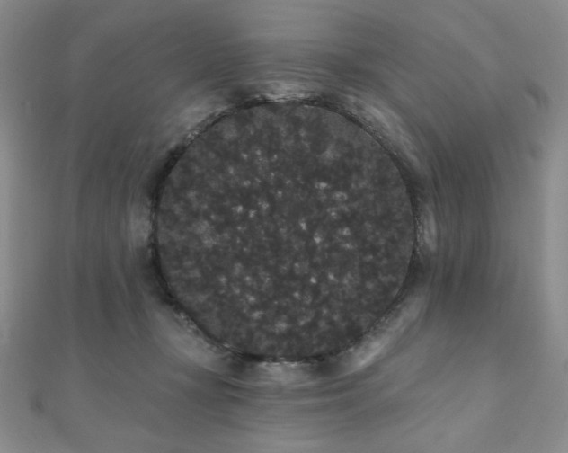 X0000112000367200908031233