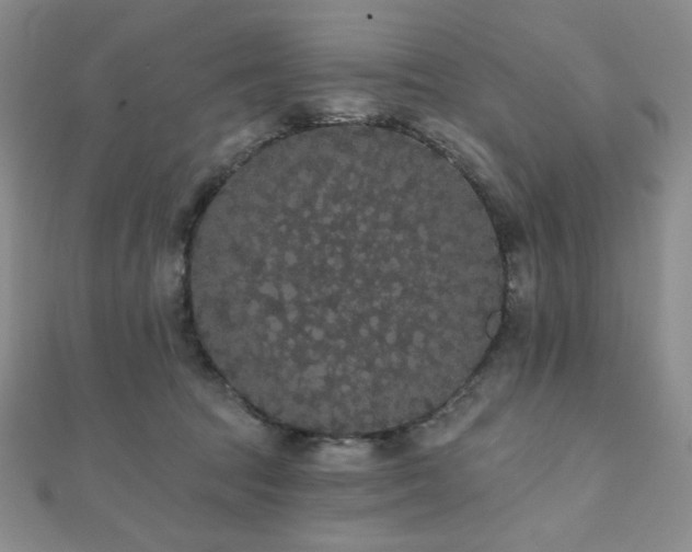 X0000112000369200908031233