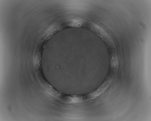 X0000112000370200908031233