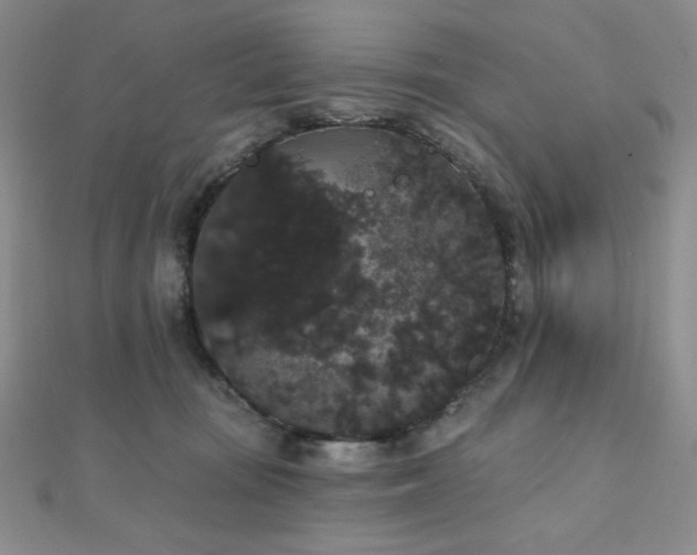 X0000112000371200908031233