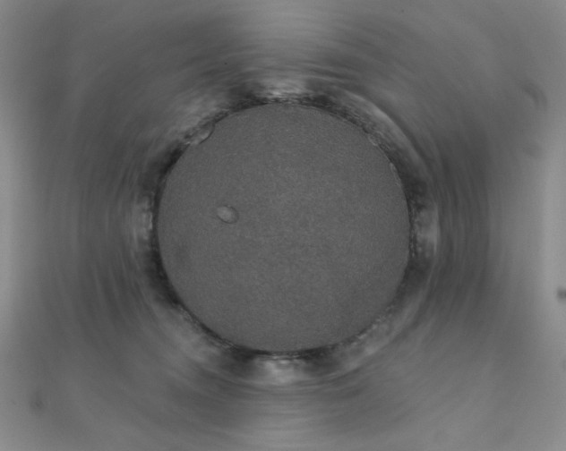 X0000112000372200908031233