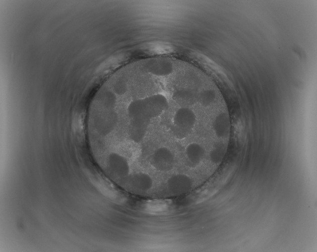 X0000112000373200908031233