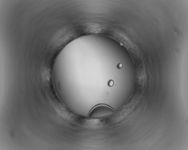 X0000112000374200908031233