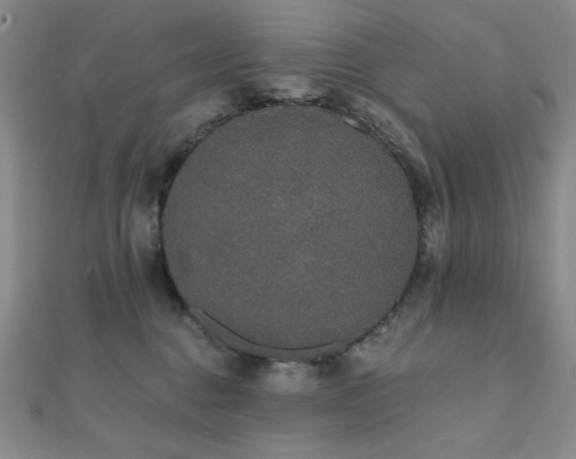 X0000112000376200908031233