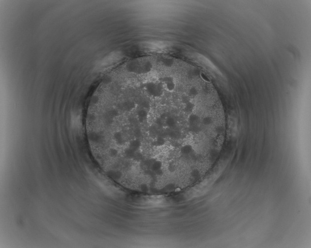 X0000112000377200908031234