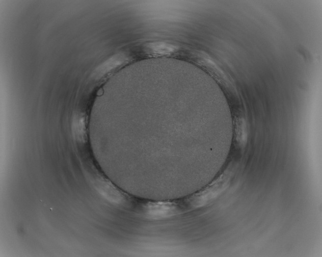 X0000112000378200908031234