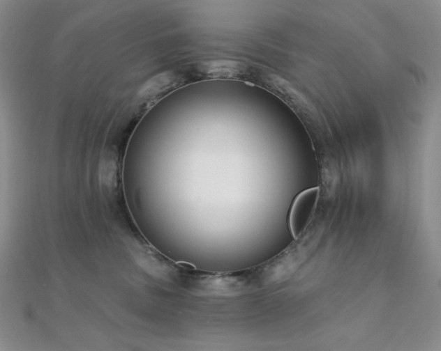 X0000112000379200908031234