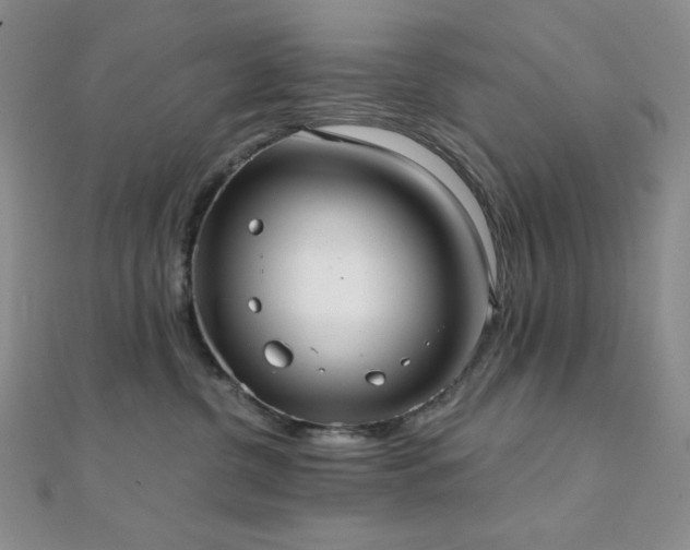 X0000112000380200908031234