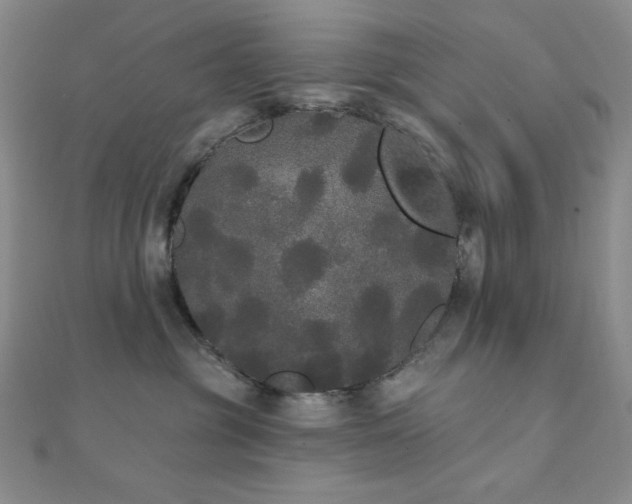 X0000112000381200908031234