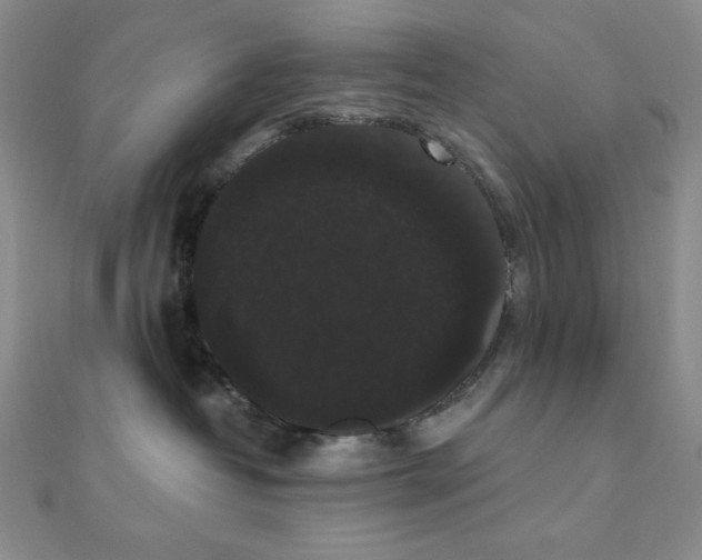 X0000112000382200908031234