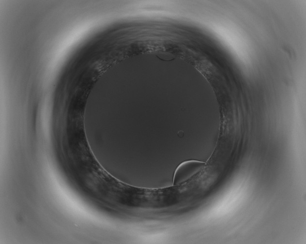 X0000112000383200908031234