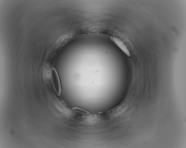 X0000112000384200908031234