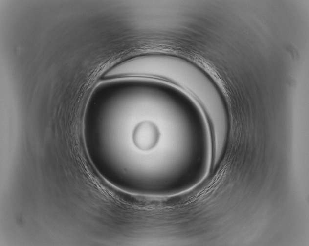 X0000112000385200908031233