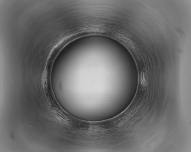 X0000112000388200908031233