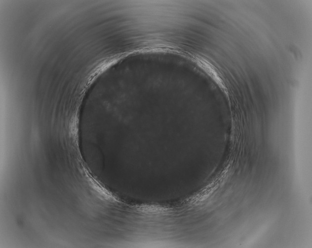 X0000112000389200908031233