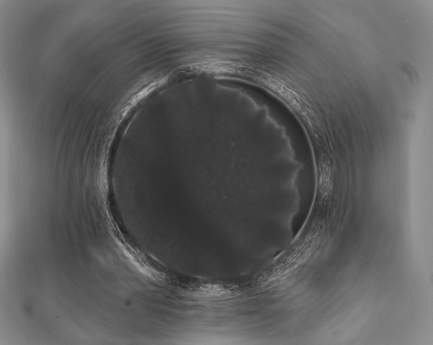 X0000112000390200908031233