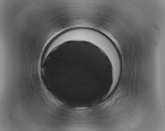 X0000112000391200908031233