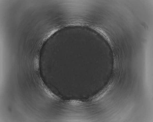 X0000112000393200908031233