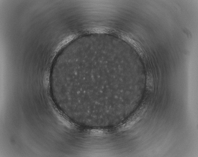 X0000112000394200908031233