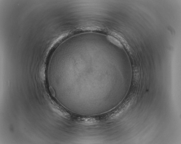 X0000112000395200908031233