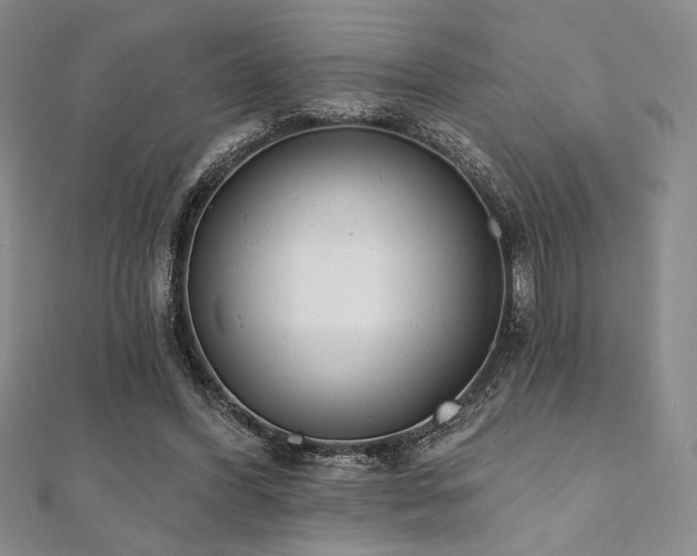 X0000112000396200908031233