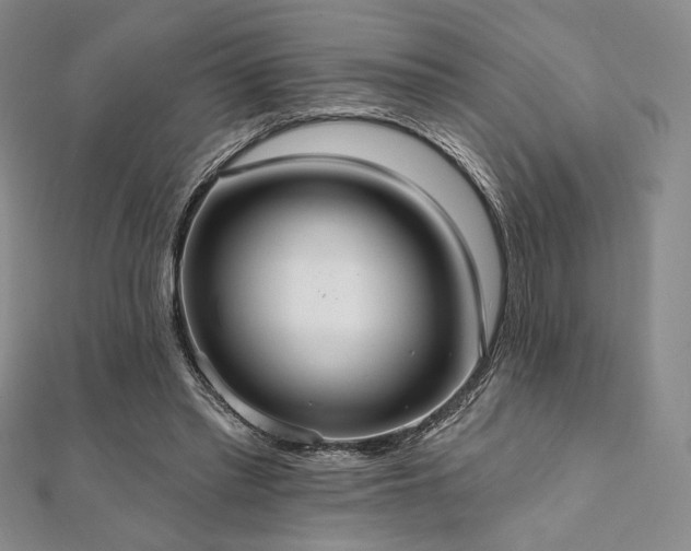 X0000112000397200908031233