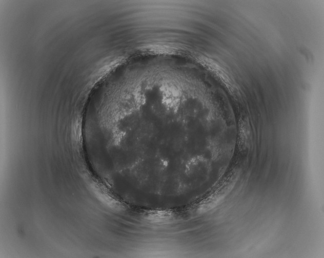 X0000112000398200908031233