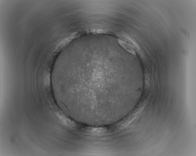 X0000112000401200908031233