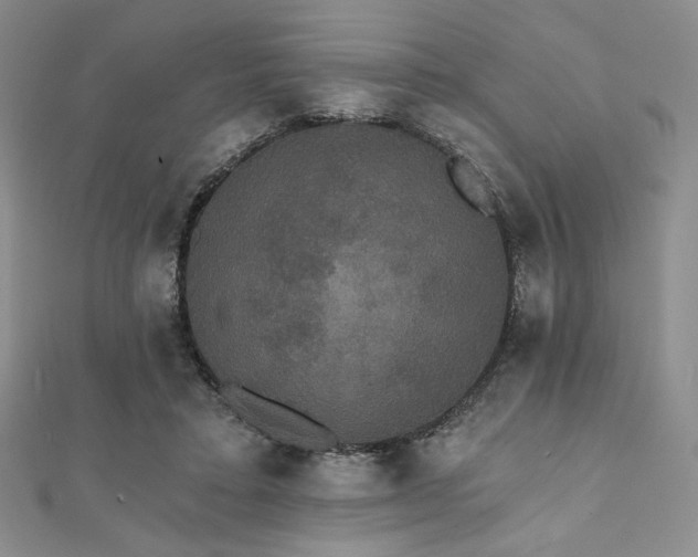 X0000112000403200908031233