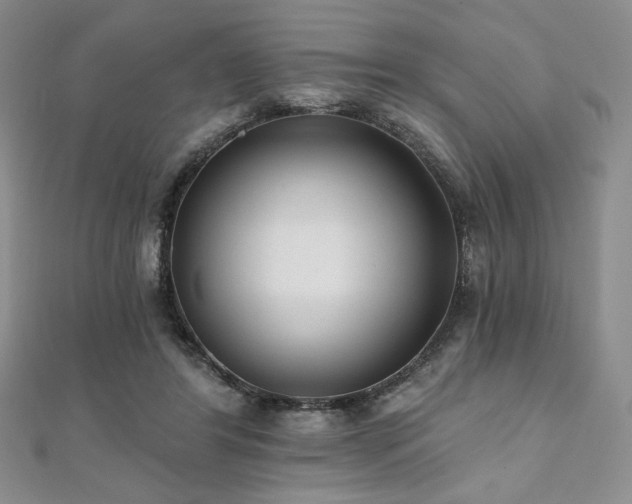 X0000112000404200908031233