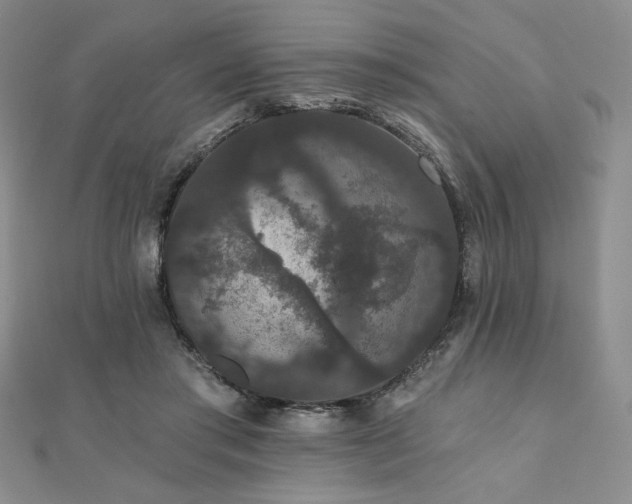 X0000112000405200908031233