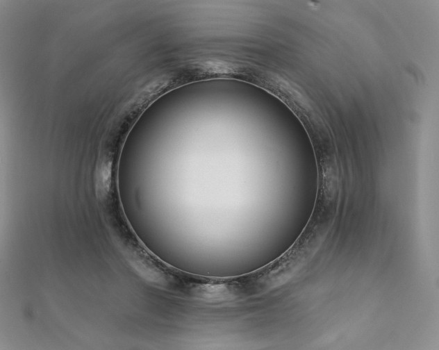 X0000112000406200908031233