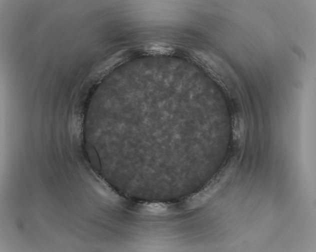 X0000112000409200908031233